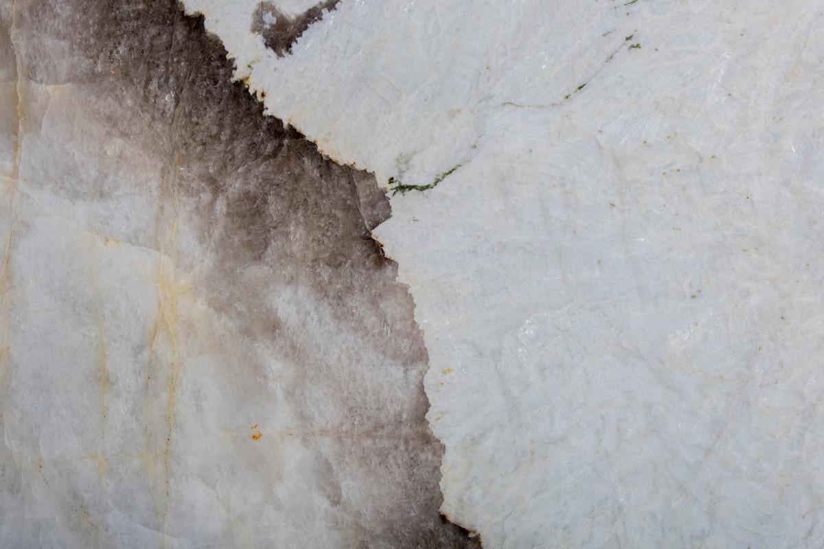 PATAGONIA WHITE EXOTIC