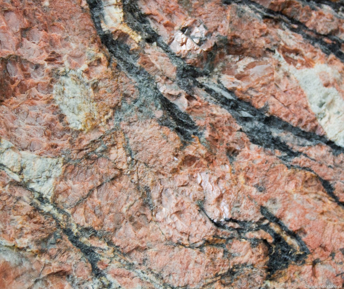 PATAGONIA FANTASTIQUE