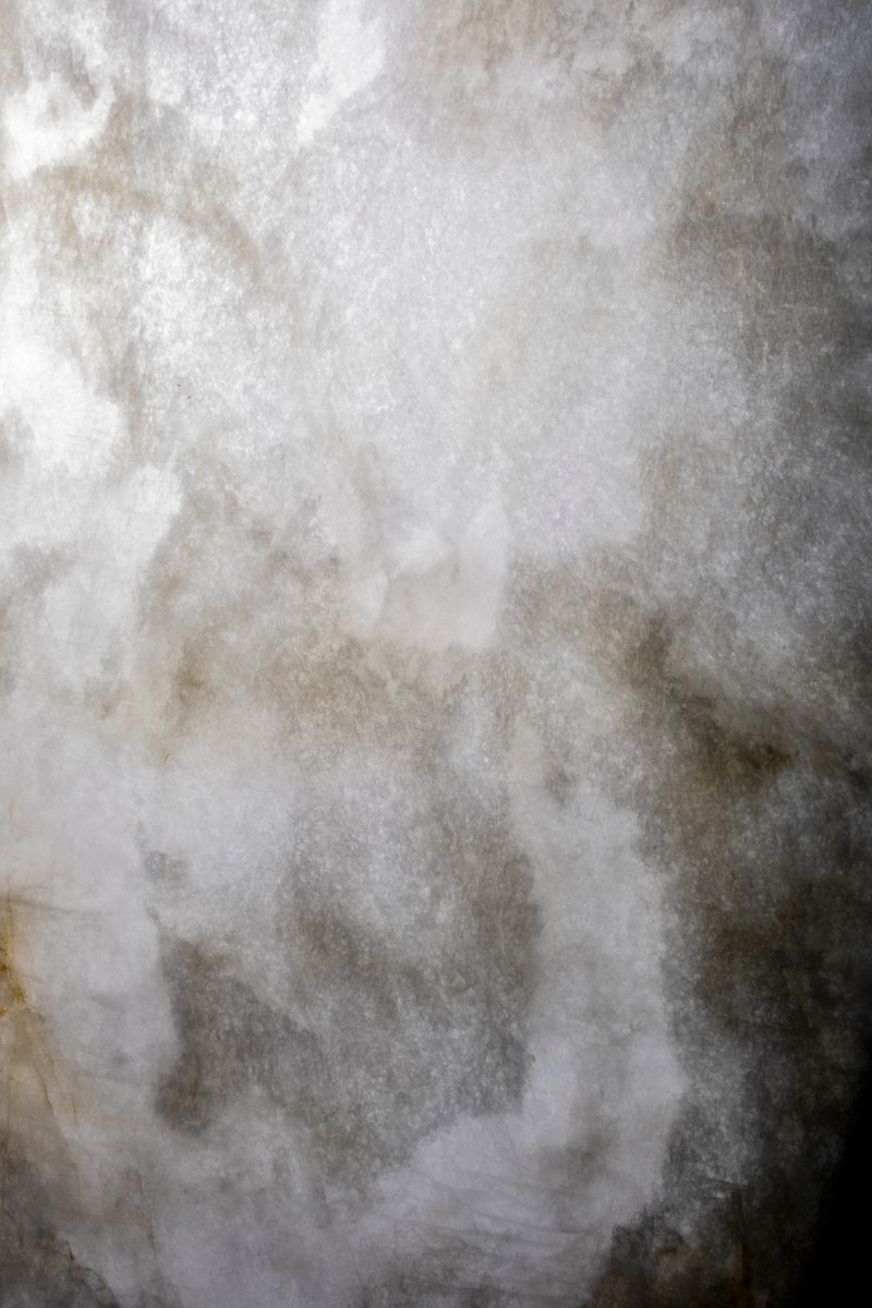 PATAGONIA WHITE EXOTIC