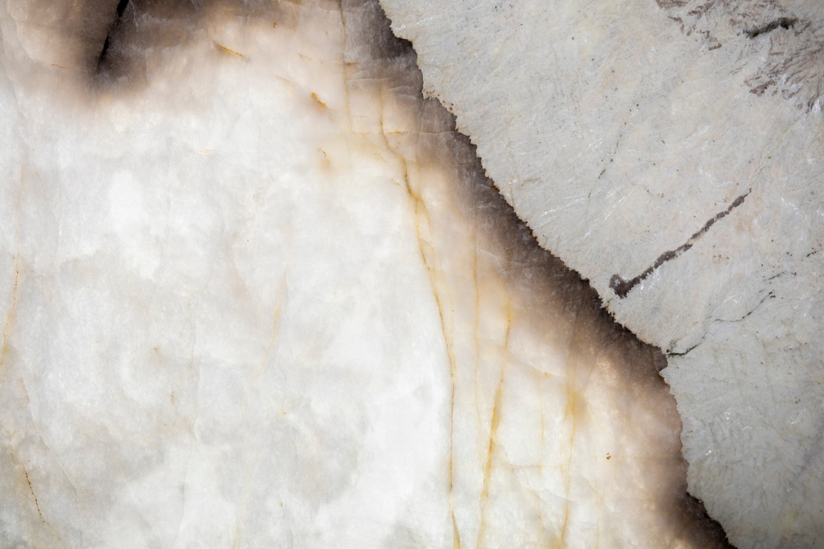 PATAGONIA WHITE EXOTIC
